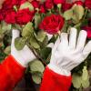 imageNoCry Guantes largos de jardinera de cuero para mujeres y hombres a prueba de espinas para podar cactus rosas y zarzamoras guantes para trabajos de jardinera palmas y dedos reforzados rojo M