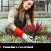 imageNoCry Guantes largos de jardinera de cuero para mujeres y hombres a prueba de espinas para podar cactus rosas y zarzamoras guantes para trabajos de jardinera palmas y dedos reforzados rojo M